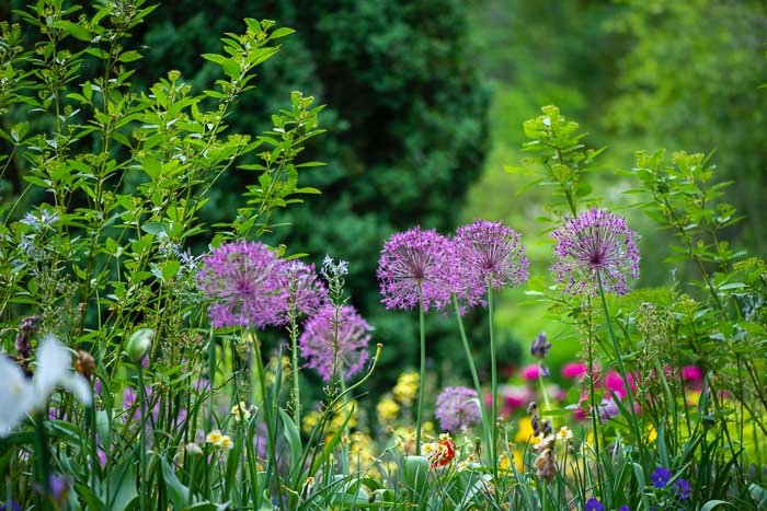 ECOJARDINS | Jardinería Ecológica Girona, jardinería y paisajismo en Llambilles